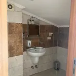 Bouvardia 4*